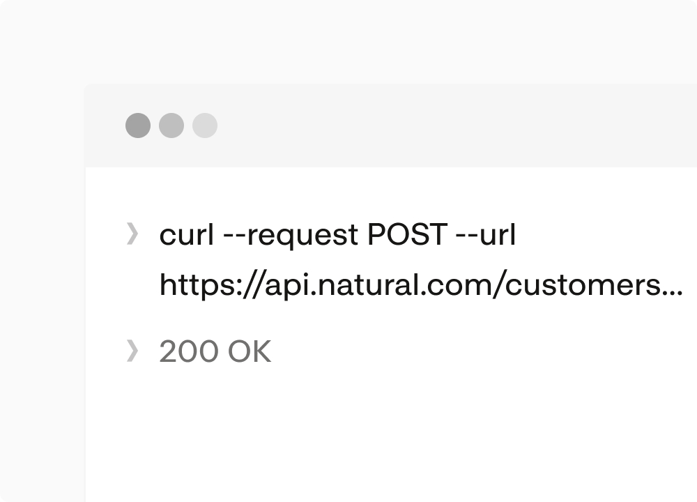 Terminal request creating a customer via the Natural API returning 200 OK