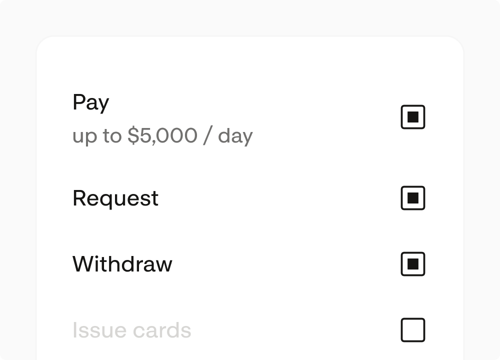 Granular permissions allowing pay, request, and withdraw while blocking card issuance